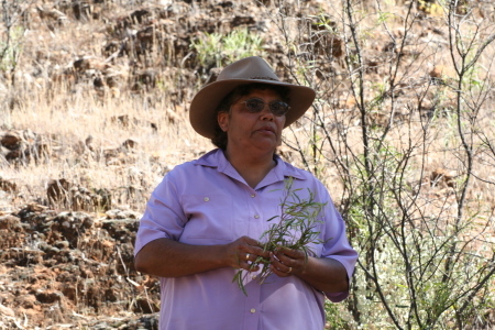 Josie Coulthard collecting bush medicine