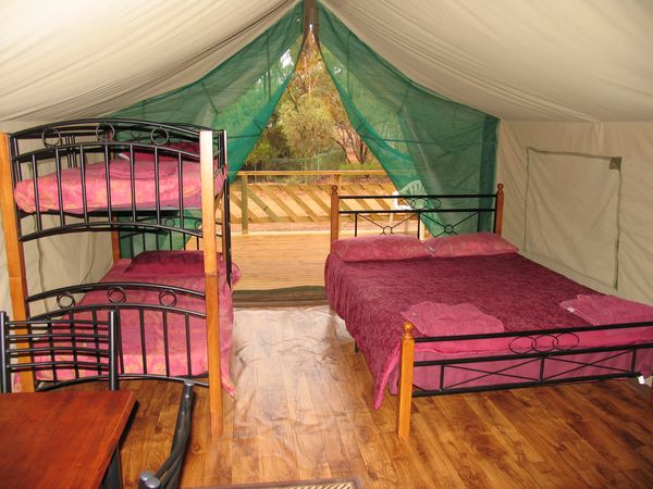 Safari tent - Inside